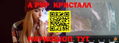 крисы Новодвинск