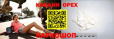 крисы Новодвинск
