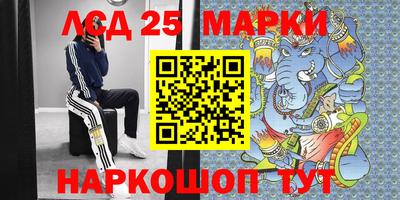 крисы Новодвинск