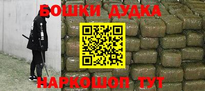 крисы Новодвинск