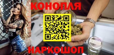крисы Новодвинск
