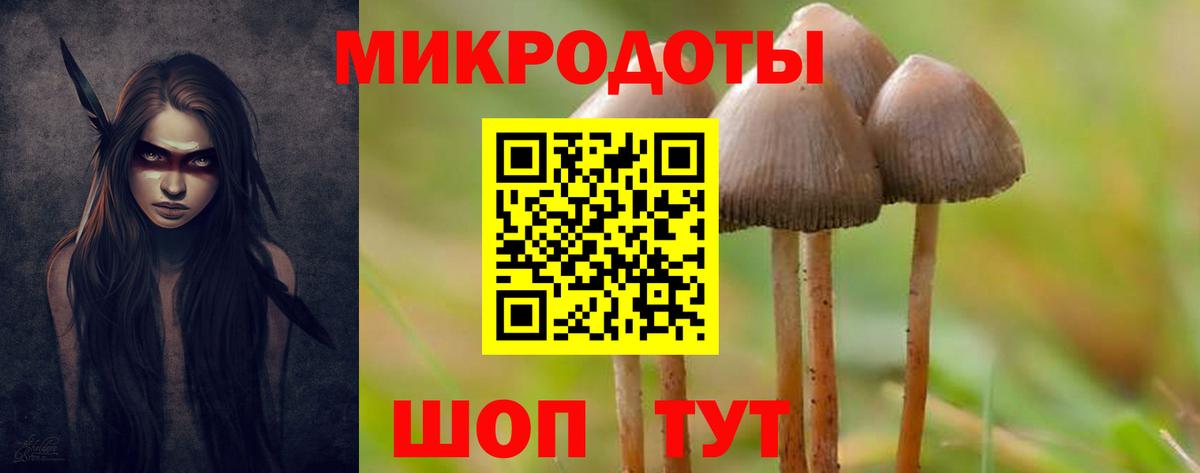 Псилоцибиновые грибы Cubensis  Вход с VPN  Тимашёвск 